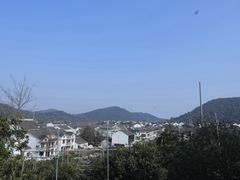 -树山生态村