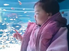 -海合安成都极地海洋公园