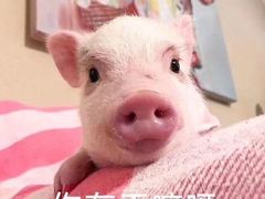 -四宜糕团店(南大街店)