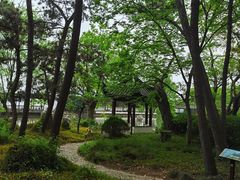 -无锡蠡湖国家湿地公园-蠡园