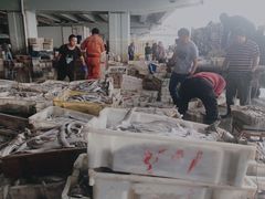 -中国舟山国际水产城