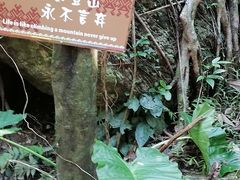 -七仙岭温泉国家森林公园