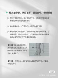 -香薇妮丝女子减肥院