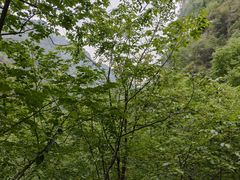 -北京上方山国家森林公园