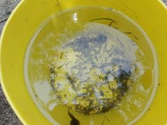 -碓臼峪自然风景区