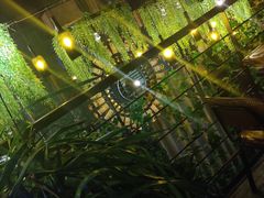 -胡桃里音乐酒馆(四道口店)
