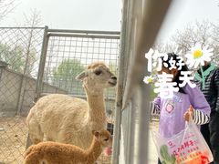 -意大利农场度假村