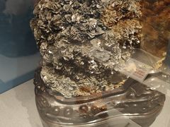 -贵州省地质博物馆