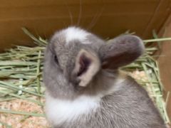 -龙猫仔乐园(惠福东路店)