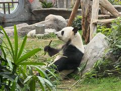 -香港海洋公园