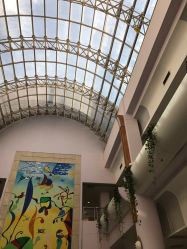 -上海交通大学医学院附属上海儿童医学中心(陆家嘴总院区)