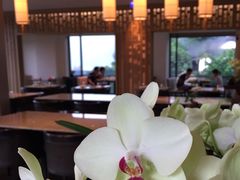 -台北北投丽禧温泉酒店