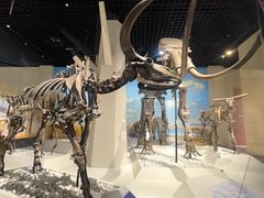 -国家自然博物馆