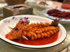 松鼠桂鱼-丁老爷子苏香圆