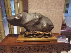 -中华赏石园
