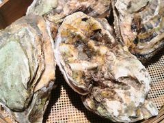 -杨氏青龙虾·羊蝎子(金盛路总店)
