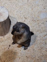 -酷嗒动物文化乐园(cutezoo西溪乐天城店)