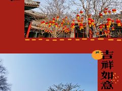 -颐和园