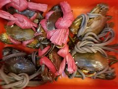 -百年银屏蚝烙·潮汕菜·非遗(乐山店)