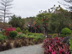 -映月湖公园