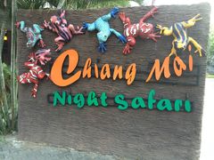 -清迈夜间动物园