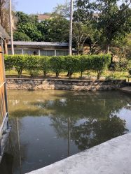 点击看大图 -爱帝宫月子中心(罗湖别墅院)