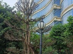 -广州科尔海悦酒店