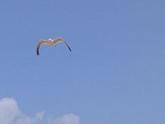-阳光海岸露营公园
