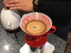 -命运咖啡馆Destiny Coffee