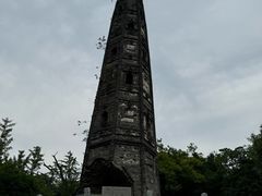 -上海佘山国家森林公园天马山园