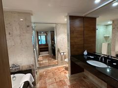 -新加坡文华东方酒店