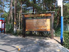 -帽儿山国家森林公园