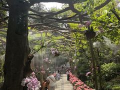 -广西壮族自治区药用植物园