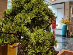 -蓬客精品酒店(南山海岸城购物中心店)