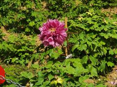 -合肥三国新城遗址公园