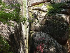 -汤旺河林海奇石景区