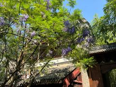 -龙潭水乡