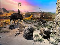 -国家自然博物馆