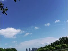-万绿园