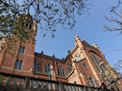 -上海佘山国家森林公园天马山园