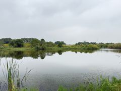 -西京湾花海