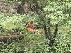 -杭州动物园