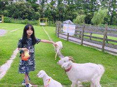 -上海长兴岛郊野公园