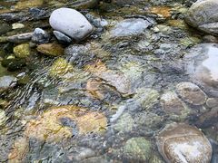 -黑河国家森林公园