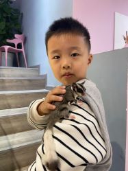 -Moni星球萌宠·小马宝莉·灵蛇·高端高阶全萌宠互动体验俱乐部(红豆国际广场店)