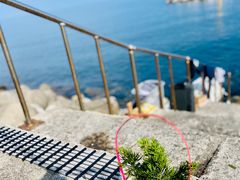 -龙头岩(Dragon Head Rock)