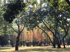 -晓港公园