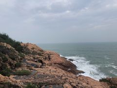 -广东惠东海龟国家级自然保护区