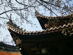 -灵谷景区