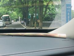 -铁山坪森林公园